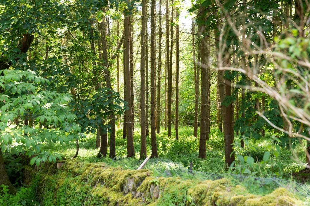 Images for Frilford Heath, Oxfordshire EAID:BUTLSHEWESTAPI BID:1