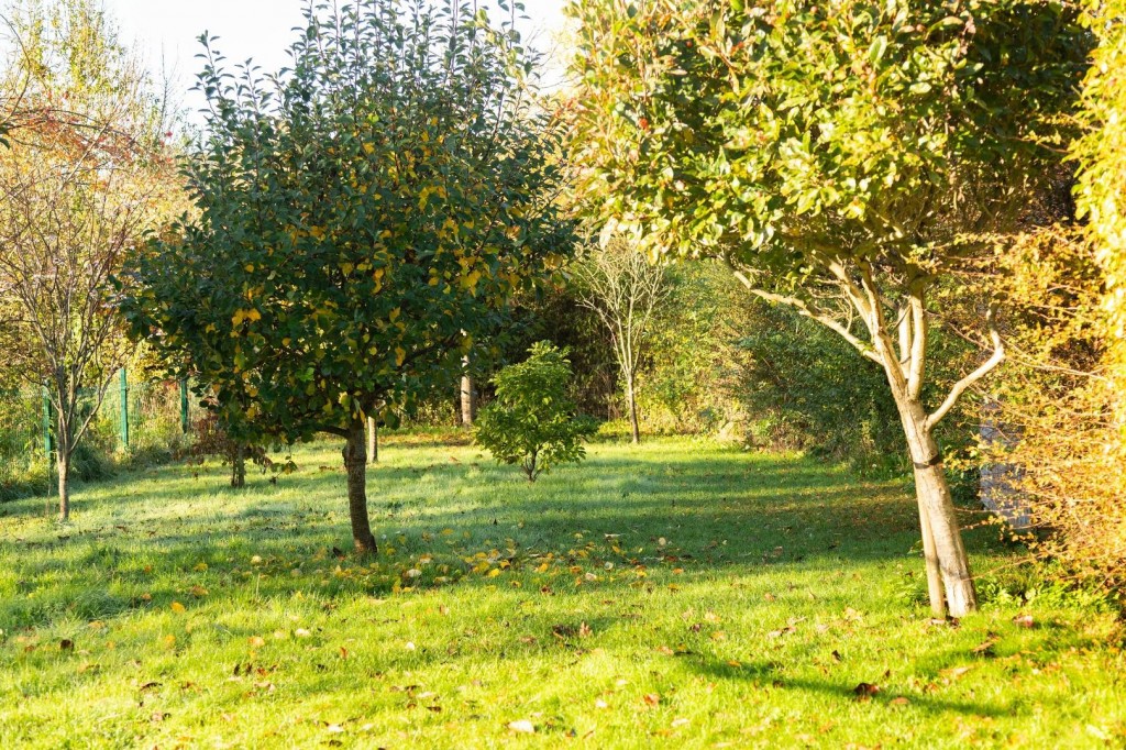 Images for Chilswell Lane, Boars Hill, Oxford EAID:BUTLSHEWESTAPI BID:1