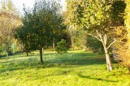 Images for Chilswell Lane, Boars Hill, Oxford