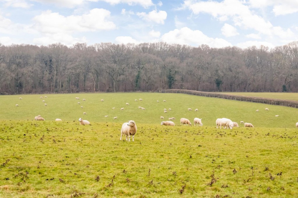 Images for Long Hanborough, Oxfordshire EAID:BUTLSHEWESTAPI BID:1