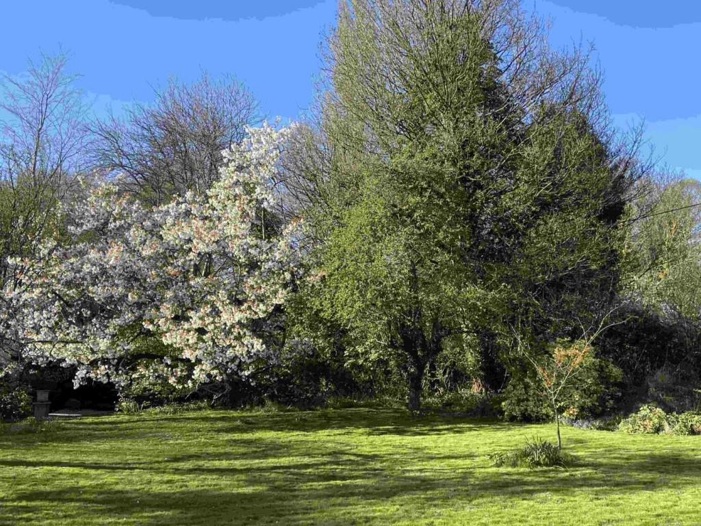 Images for Locks Lane, Wantage EAID:BUTLSHEWESTAPI BID:1