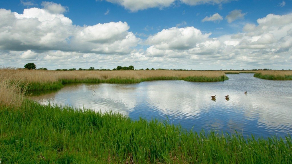 Images for Five Acres, Murcott, Oxfordshire EAID:BUTLSHEWESTAPI BID:1
