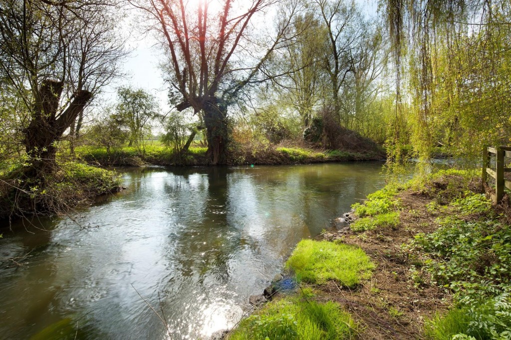 Images for Mill End, Old Kidlington EAID:BUTLSHEWESTAPI BID:1
