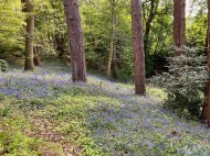 Images for Old Road, Headington, Oxford