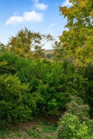 Images for Woolstone