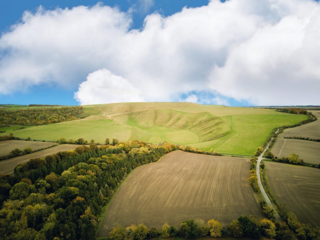 Images for Woolstone EAID:BUTLSHEWESTAPI BID:1