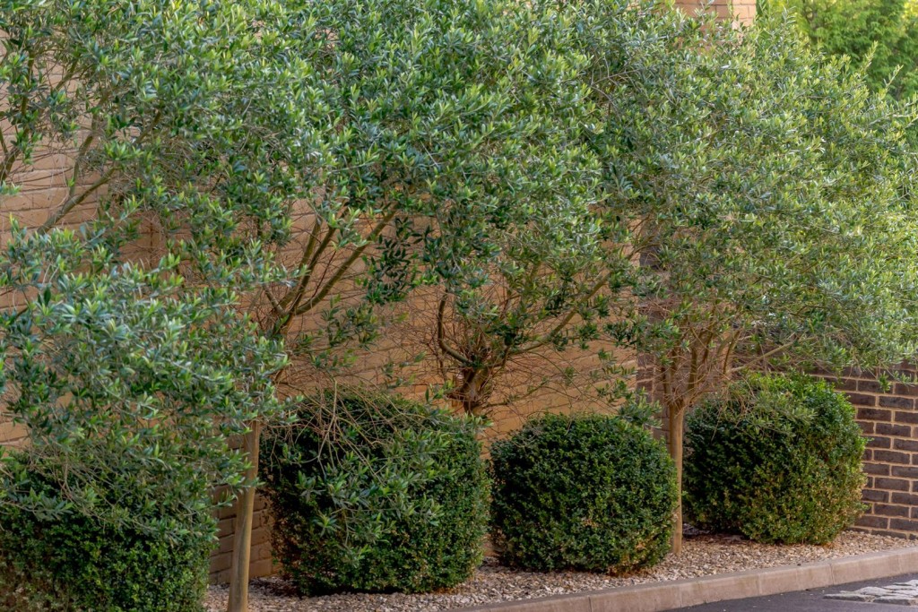 Images for Mortimer Court, 66 Cumnor Hill, Oxford EAID:BUTLSHEWESTAPI BID:11