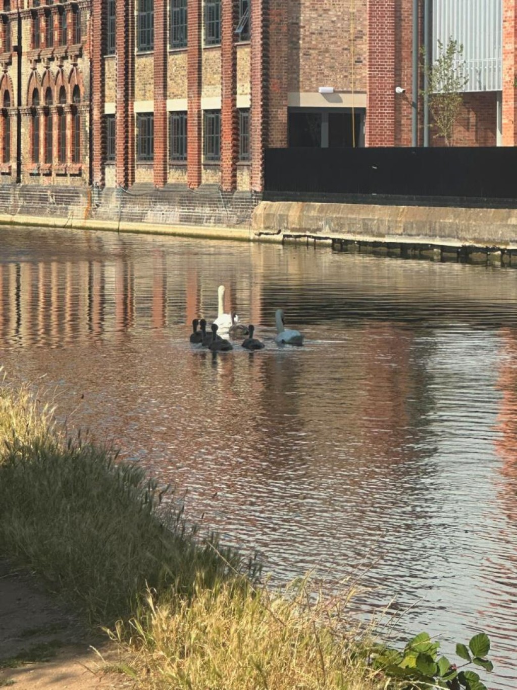 Images for Bridge Street, Osney Island, Oxford EAID:BUTLSHEWESTAPI BID:1